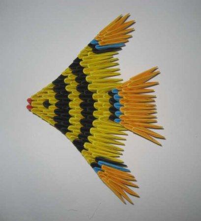 Рыбка "Скалярия"